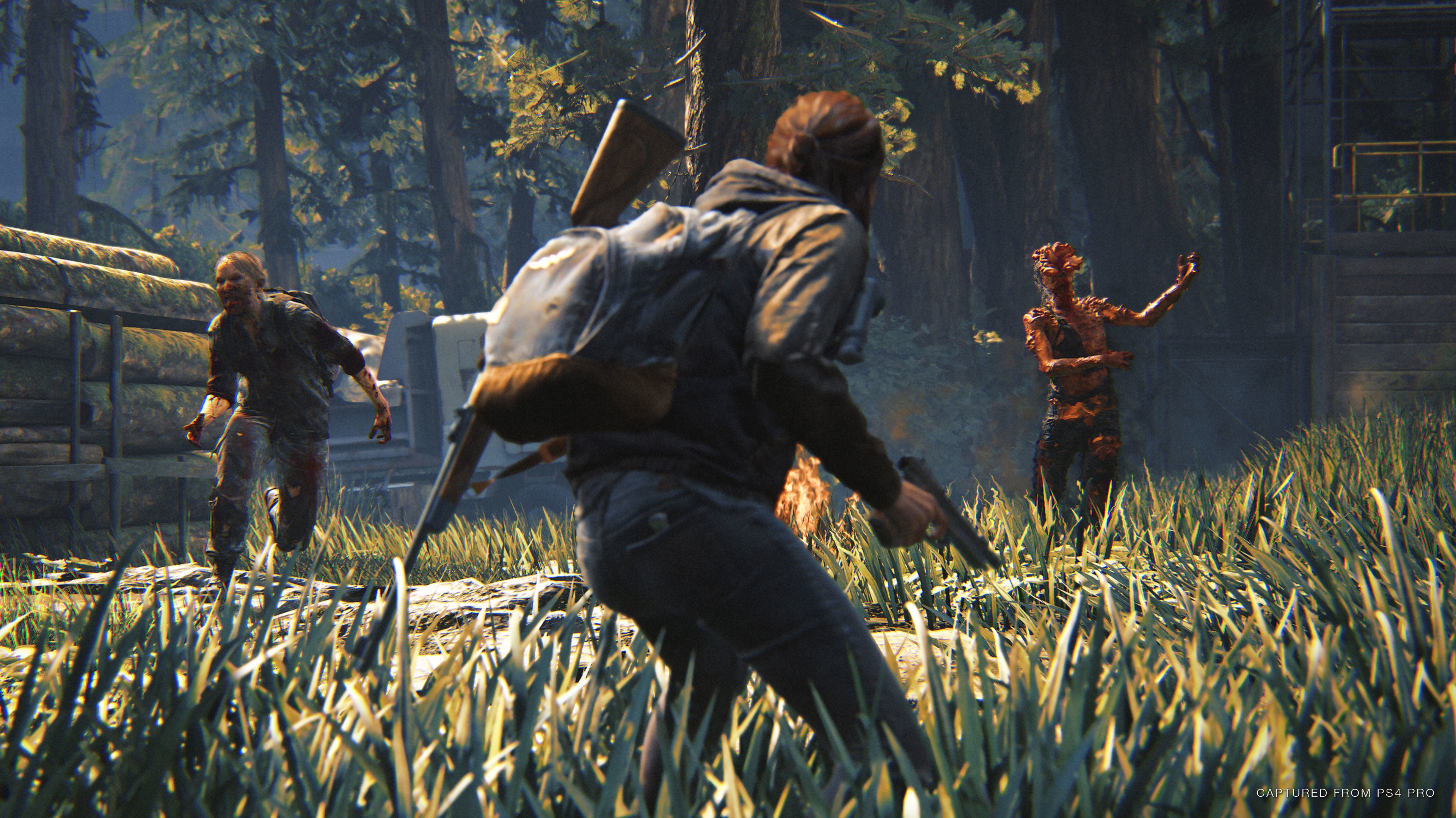 The Last Of Us Part II Remastered