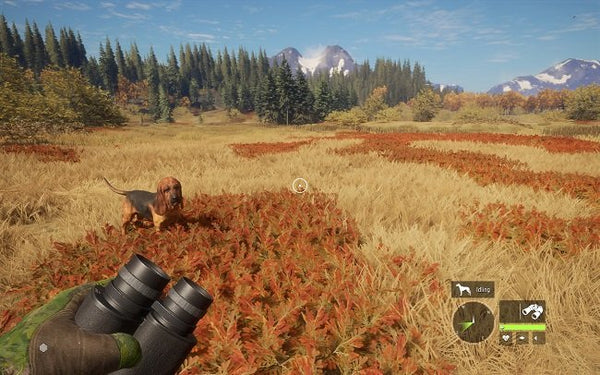 TheHunter: Call of the Wild