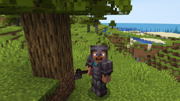 Minecraft: Java & Bedrock Edition