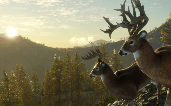 TheHunter: Call of the Wild