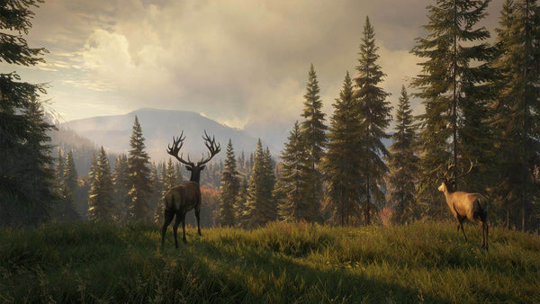 TheHunter: Call of the Wild