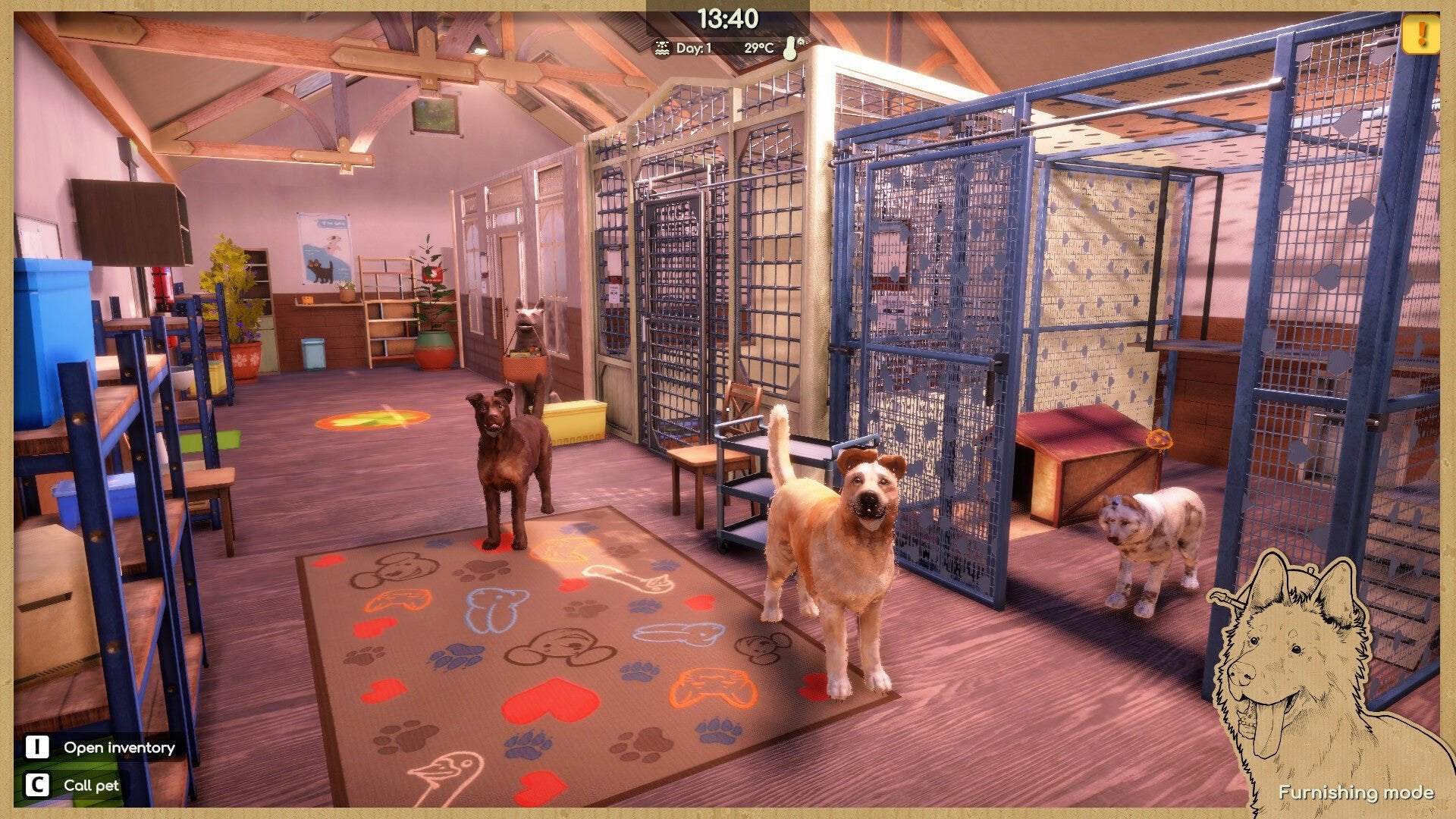 Animal Shelter 2 - PixelVaultKeys