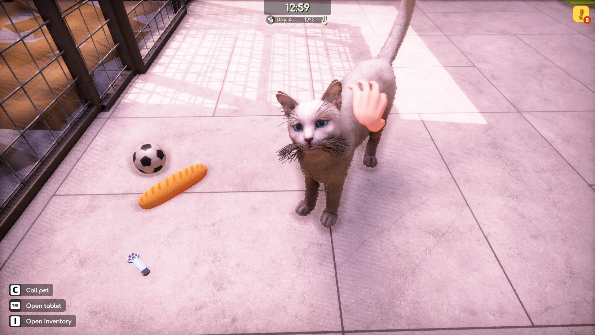 Animal Shelter 2 - PixelVaultKeys