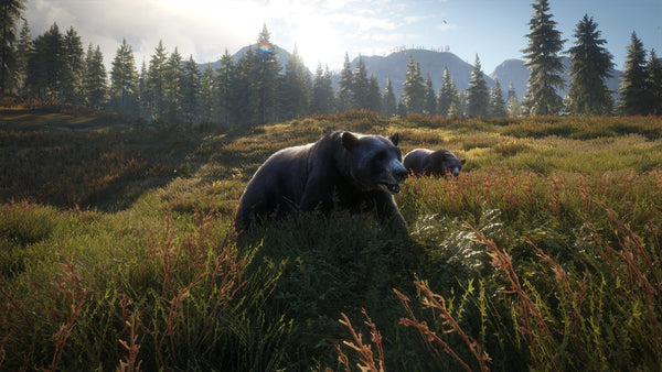 TheHunter: Call of the Wild